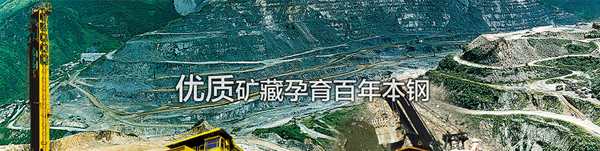 永利集团·yl(中国游)官方网站